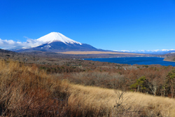 神奈川県　宮良様