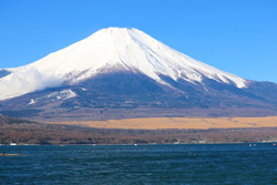 神奈川県　宮良様