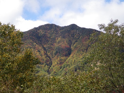 山王林道から高薙山