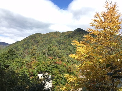 遊歩道からの眺め