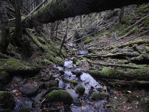 荒川の源流