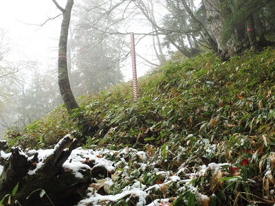 積雪柱点検１