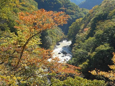 堤体から下流