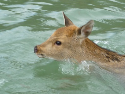 貯水池巡視４