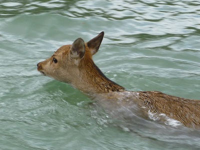 貯水池巡視３