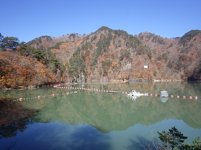 紅葉のおわり１