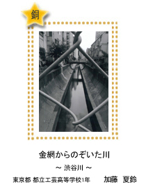 金網からのぞいた川