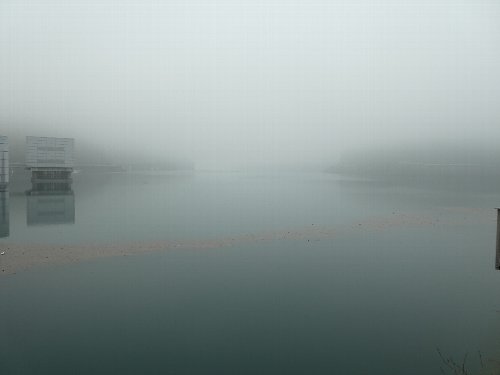 写真2