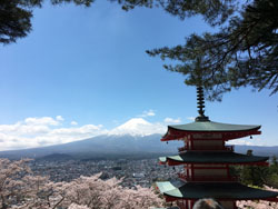 富士吉田市からの富士