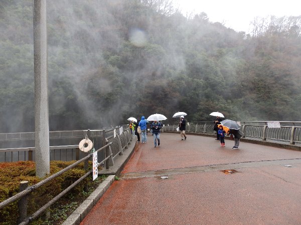 写真4