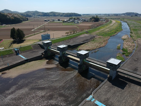 君島堰（小貝川、真岡市）