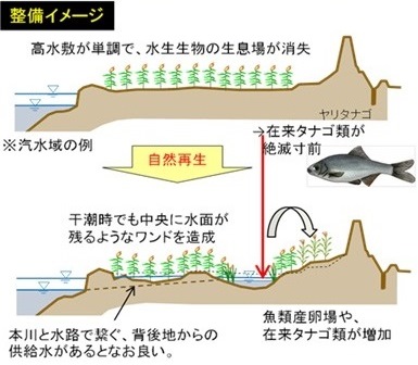 湿地水路ワンド再生