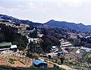 あしがくぼ果樹公園村