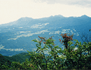 十二ヶ岳登山道