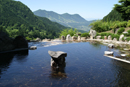 馬曲温泉望郷の湯