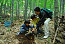 芝山観光たけの子園　4月下旬～5月上旬