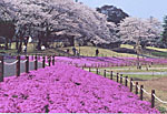 長峰公園