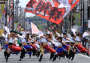 かずさYOSAKOI木更津舞尊（5月上旬）