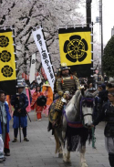 城下町小幡桜祭り武者行列