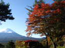 紅葉台（東海道自然歩道）