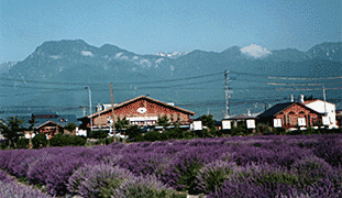 池田