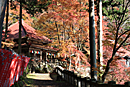 黒瀧山不動寺