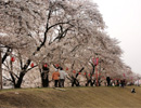 東雲公園