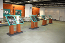 川口緑化センター「樹里安（じゅりあん）」資料展示コーナー（2階）