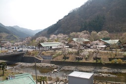 果樹公園あしがくぼ