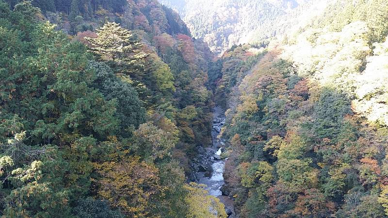 白川橋上流