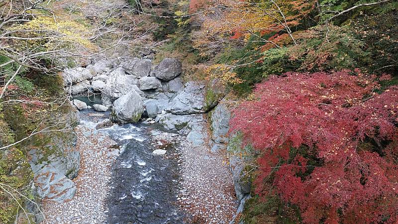 大血川橋上流