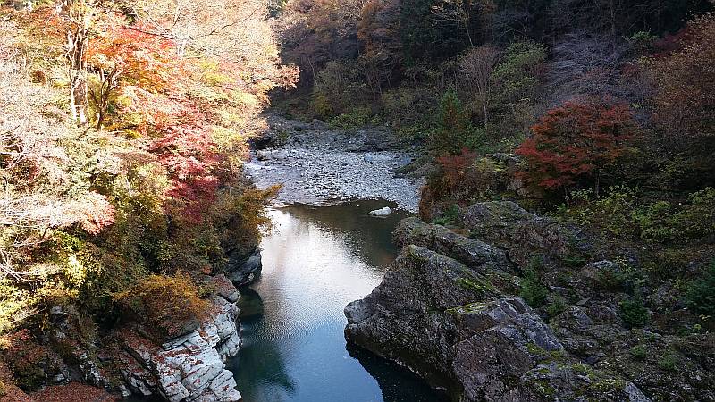 登竜橋下流