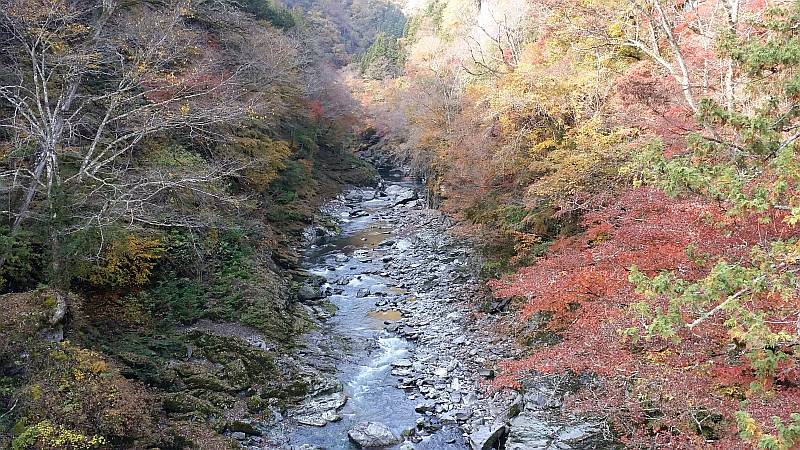 登竜橋上流