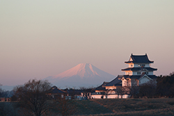 茨城県　柿沼様