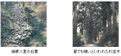 箱根八里の石畳と昼でも暗いといわれた杉並木