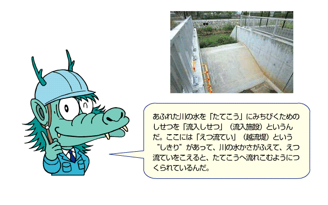 リュウタロウ