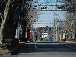 千葉県柏市4