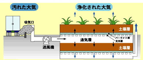 土壌を用いた大気浄化実験施設の概要
