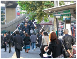 国道246号横断歩道橋の利用状況