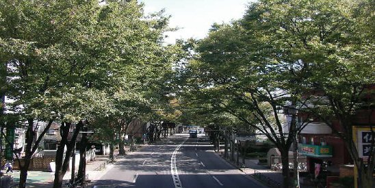 一般国道20号世田谷区南烏山