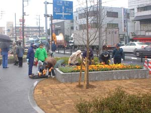 南柏町会フラワーロード会2