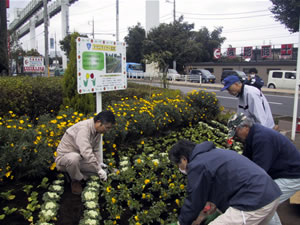 タウンライナー花壇5