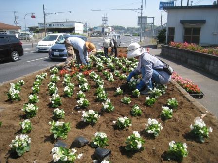 請西区自治会 花の会3