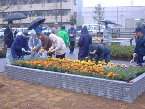 南柏町会フラワーロード会3