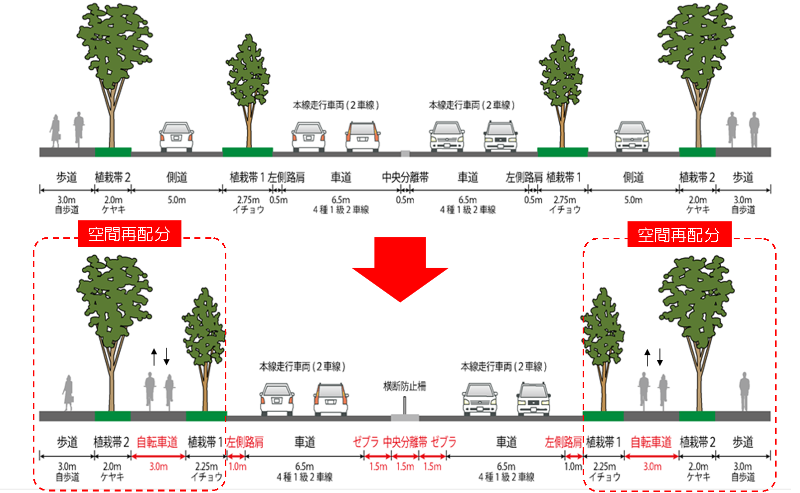 横断図