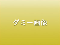 ダミー画像