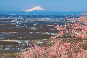 つくば市筑波　筑波山