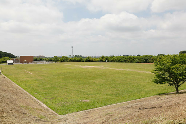 Soccer Field