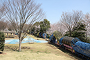 県西総合公園