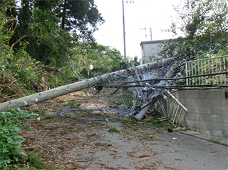 【電柱倒壊の状況(山武市内)】